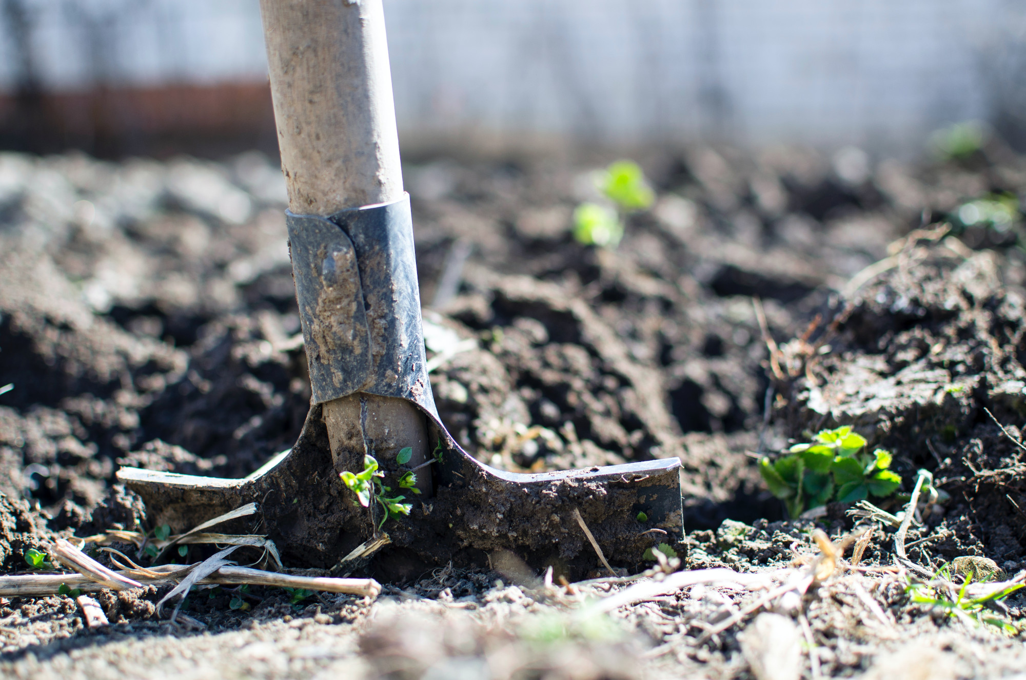 Gartenarbeit