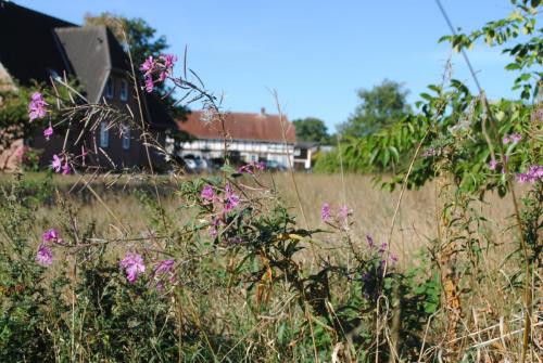 wilde Blumen