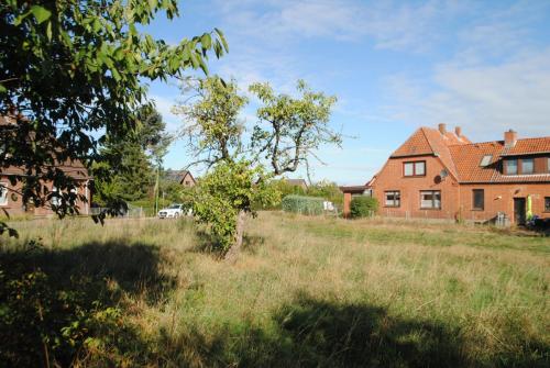 Platz für den Gemeinschaftsgarten